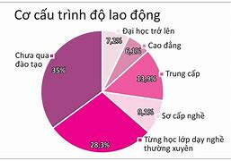 Trình Độ Lao Động Việt Nam Hiện Nay