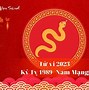 Xem Tử Vi Năm 2023 Tuổi Kỷ Tỵ